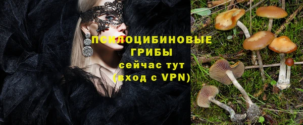 мяу мяу кристалл Коряжма