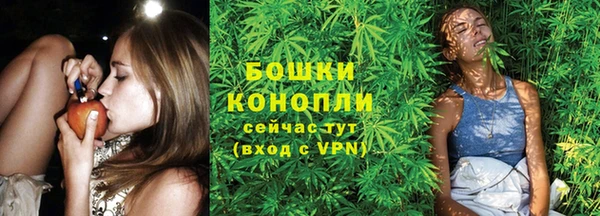 соль ск Костерёво