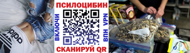 Псилоцибиновые грибы Cubensis  Чадан 